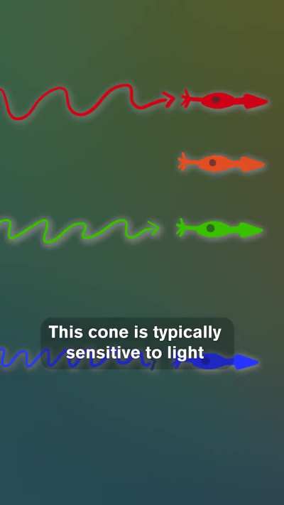 You Might See 100x More Colors