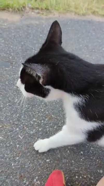 Notmycat GG always has the right words to cheer me up!