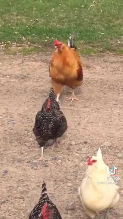 When your parents get home with take-out