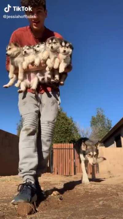 More than a handful is a waste!