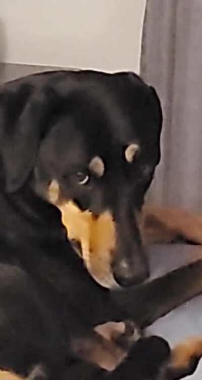 Twins.... Seriously?