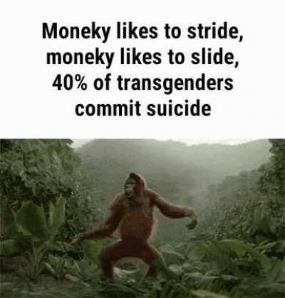 Monke