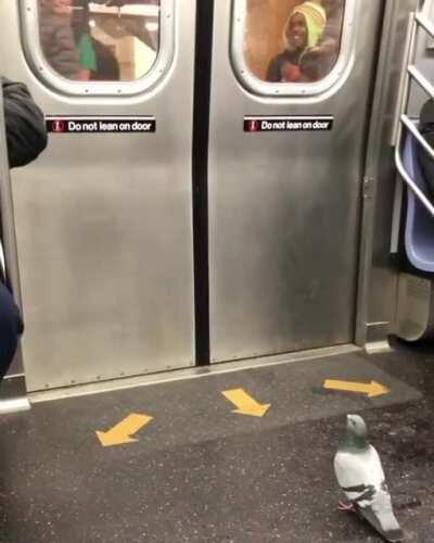 He&rsquo;s just patiently waiting to get off the subway and he&rsquo;s met with a screaming child