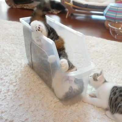 Now it is securely protected.