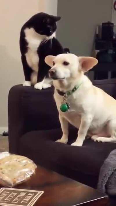 Should I be an asshole or nah?