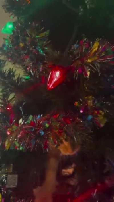 I *just* got my tree up 😭