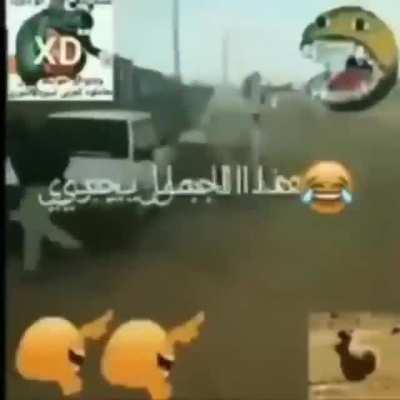 An interesting title