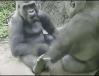 Aaaah Brandon i freaking swear to God!