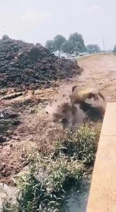 HMFT after an excavator drops dirt on my head