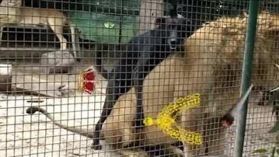 This is what you can do if you beat your fear