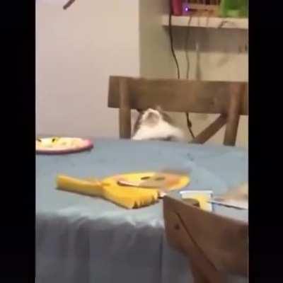 La canción me hizo recordar el video de 