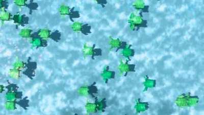 1, 2...skip a few 99, 100 Turtles (GIF Animated by Me)