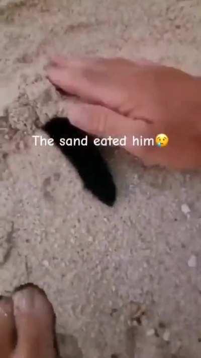 the sand ated him ð­