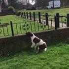 His favorite part of the day