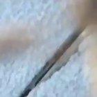 What the fuck is tha—AAAAAAA