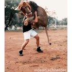 A real friendship with a lion