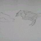 I wonder what they're arguing about