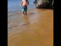 Genius Snake handler