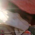 Working outside in the quarantine time isn't, for some many reasons, the best thing to do...