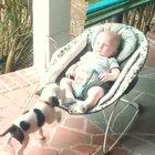 This is possibly the cutest thing I've ever seen