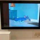 Tom and Jerry museum