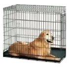 Finally, someone let me out of my cage