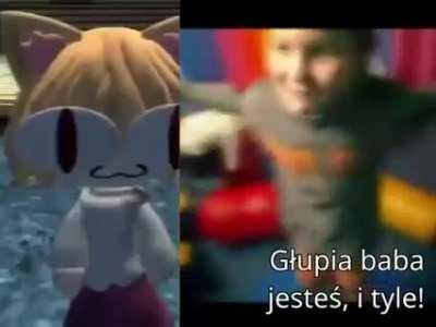 jakiegoś kota wyzywają