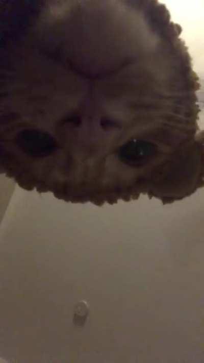 POV: What you see before dying at the hands of a savage bear.