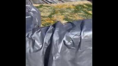 Kind hearted couple feed the needy.