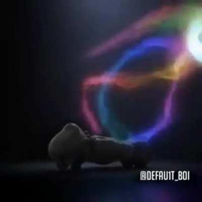 I think they should run