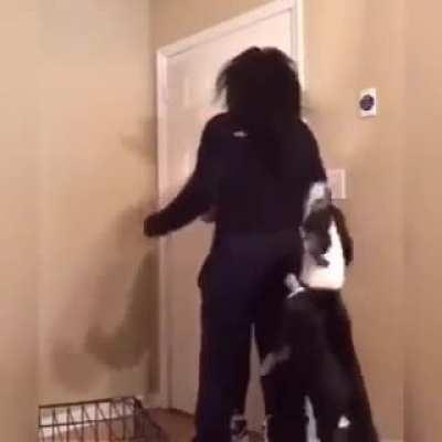 Lets just turn up at someones house and kick off (Bonus XP for dog bite)