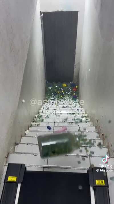 Noglas Favourite Thing