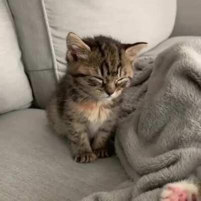 The suspense is unbearable!