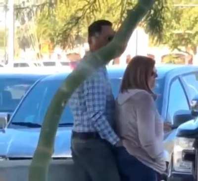 You expect me to eat this?