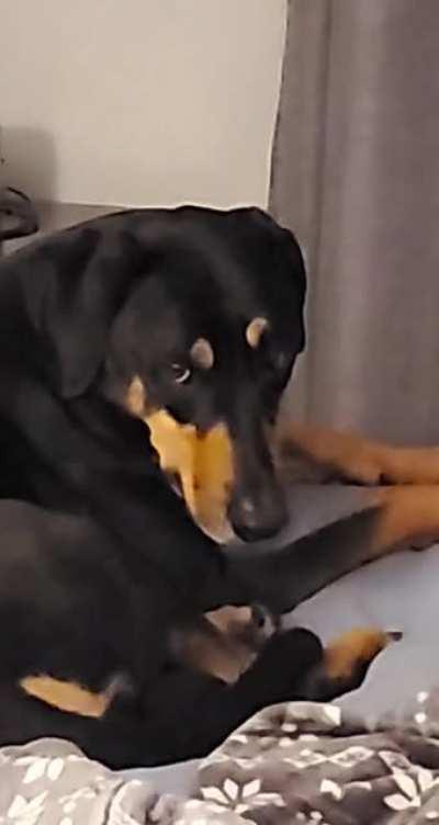 Twins...... Seriously?