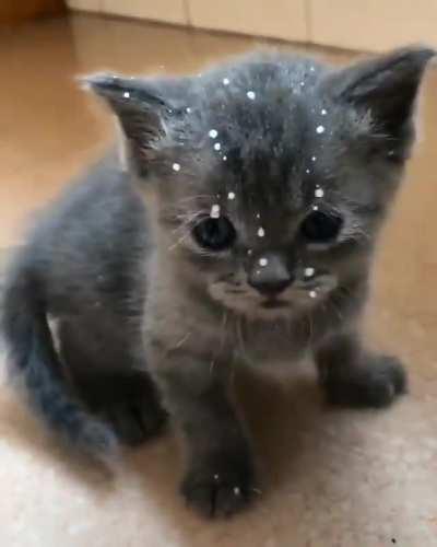 Just a little splash