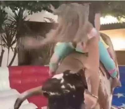 How was the day trip