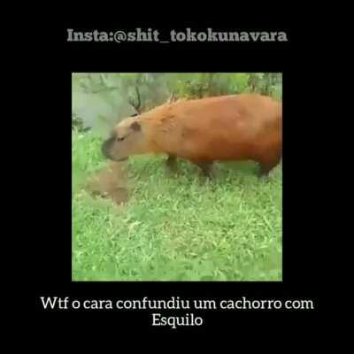 clubedosaas - Video #5513