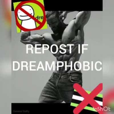 REPOSTING THIS ON FACEBOOK BECAUSE I HATE DREAM THE N*ZI G*MER AND YOU SHOULD TOO 😤😤😤😤 -Sent from Joseph's Nokia 5310