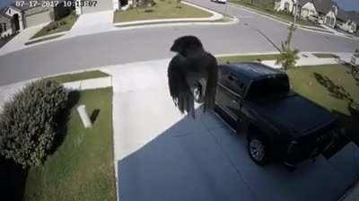 The physics engine needs to be fixed