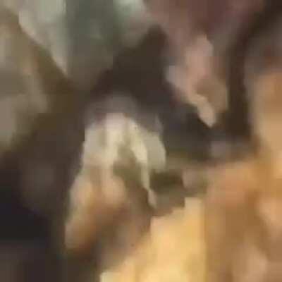 why would you even do that to a kid