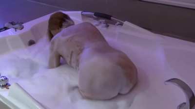 Stepmom's steamy seduction: Ardientes69 in taboo motel romp.