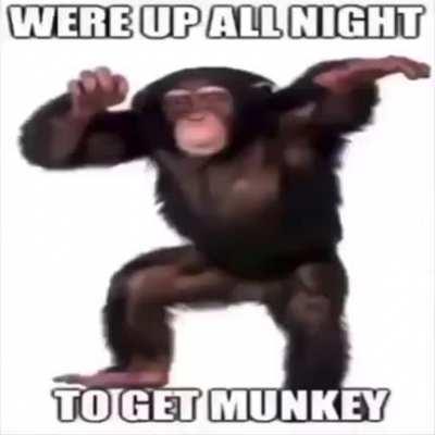 Munkey