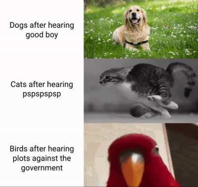 Happy to see more people spreading awareness