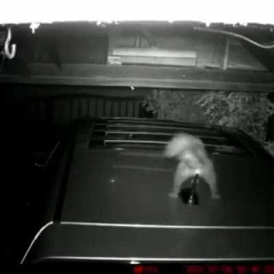 A difficult place to scratch