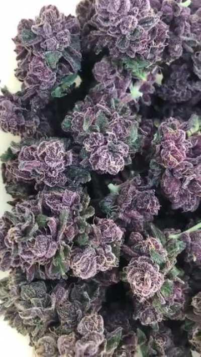 Eye satisfaction 👽✌️