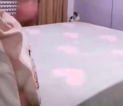 Nauseous cat waited patiently until he couldn’t hold it in anymore.