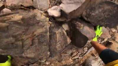 forgot bout that footpeg