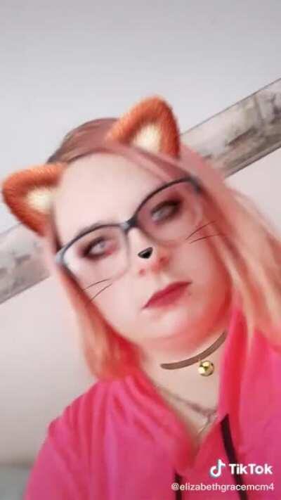 Thats a koala you stupid #$%^*!$! bitch