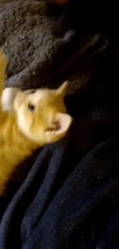 There are two kinds of people....